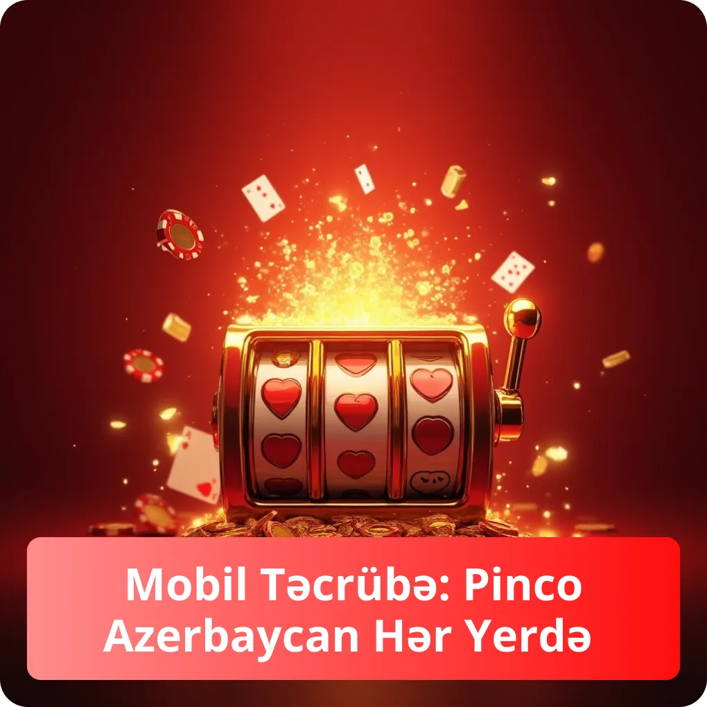 Mobil Təcrübə: Pinco Azerbaycan Hər Yerdə